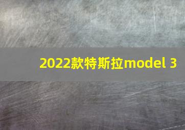 2022款特斯拉model 3